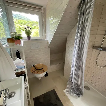 Dandelion Szőlőliget * Kisapati