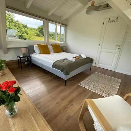 Dandelion Szőlőliget * Kisapáti