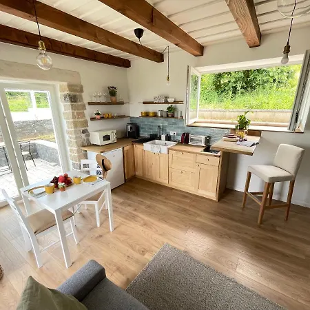 Dandelion Szőlőliget Kisapati