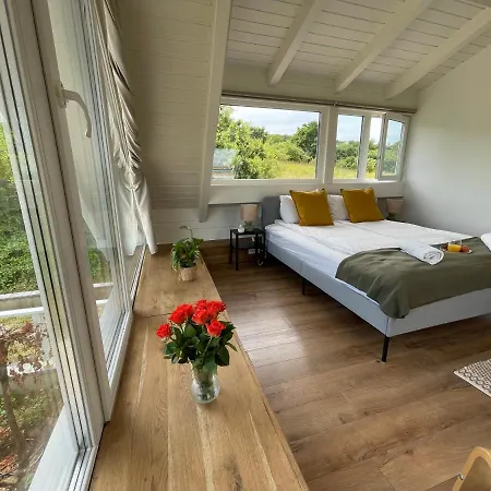 Dandelion Szőlőliget * Kisapáti