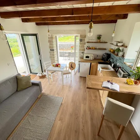 Dandelion Szőlőliget