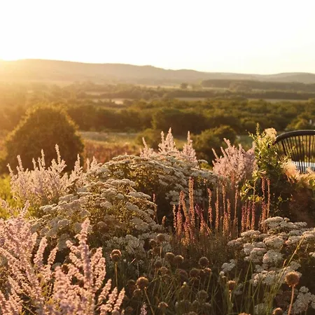 Nyaraló Dandelion Szőlőliget Kisapáti