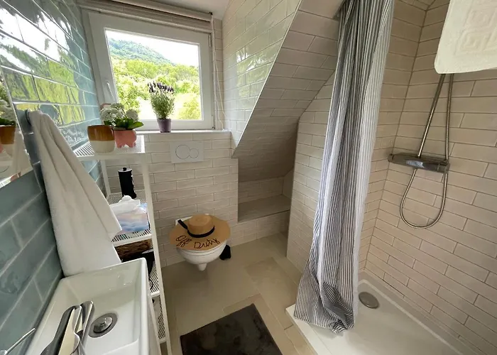 Dandelion Szololiget Vendeghaz * Kisapati