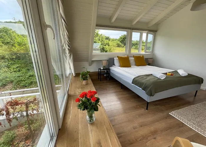 Dandelion Szololiget Vendeghaz * Kisapati