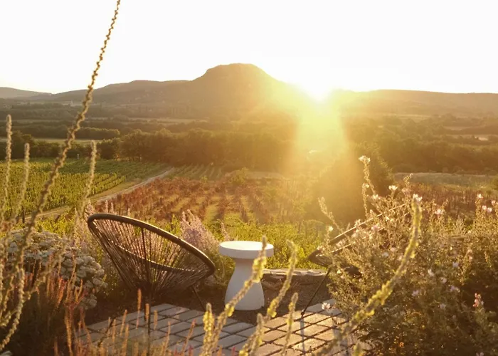 Vakantiehuis Dandelion Szololiget Vendeghaz Kisapati