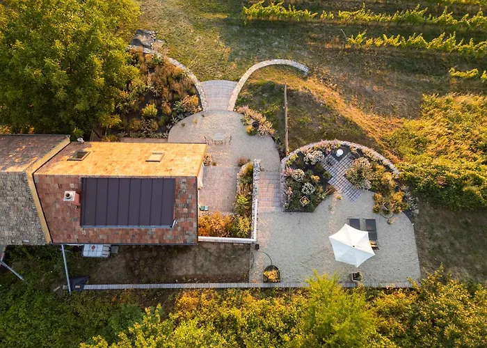 Vakantiehuis Dandelion Szololiget Vendeghaz *