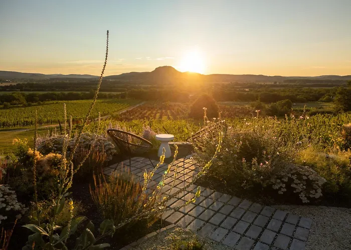 Dandelion Szololiget Vendeghaz
