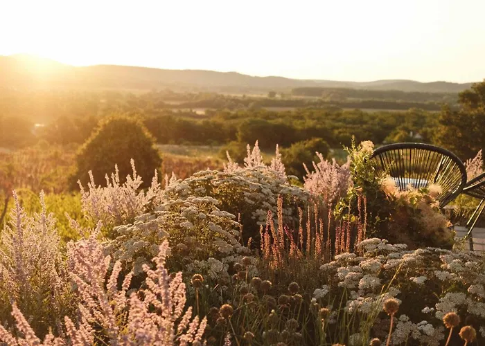 Vakantiehuis Dandelion Szololiget Vendeghaz Kisapati