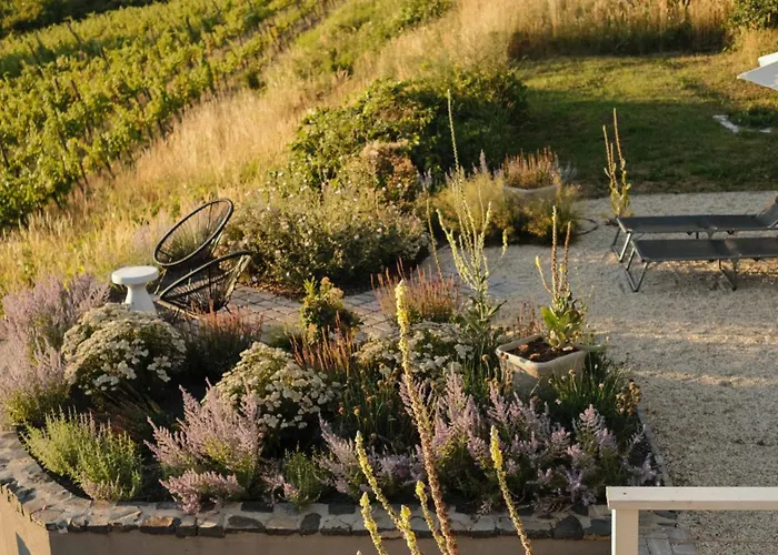 Dandelion Szololiget Vendeghaz *